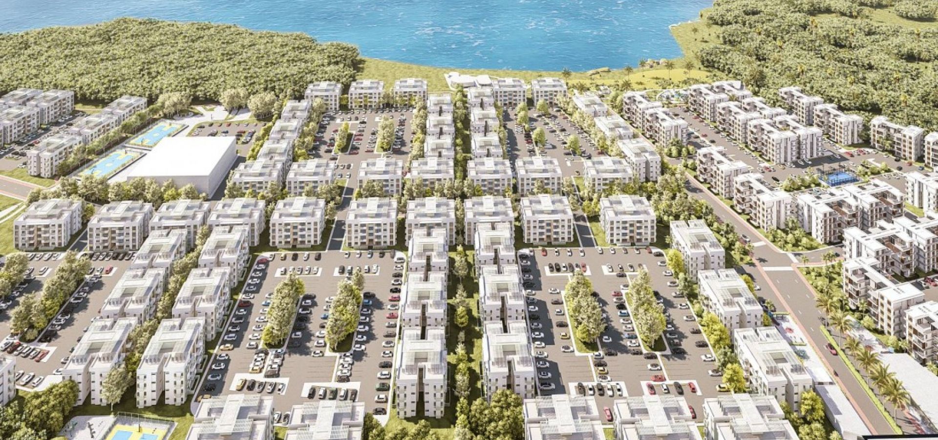 Slideshow Corales del caribe