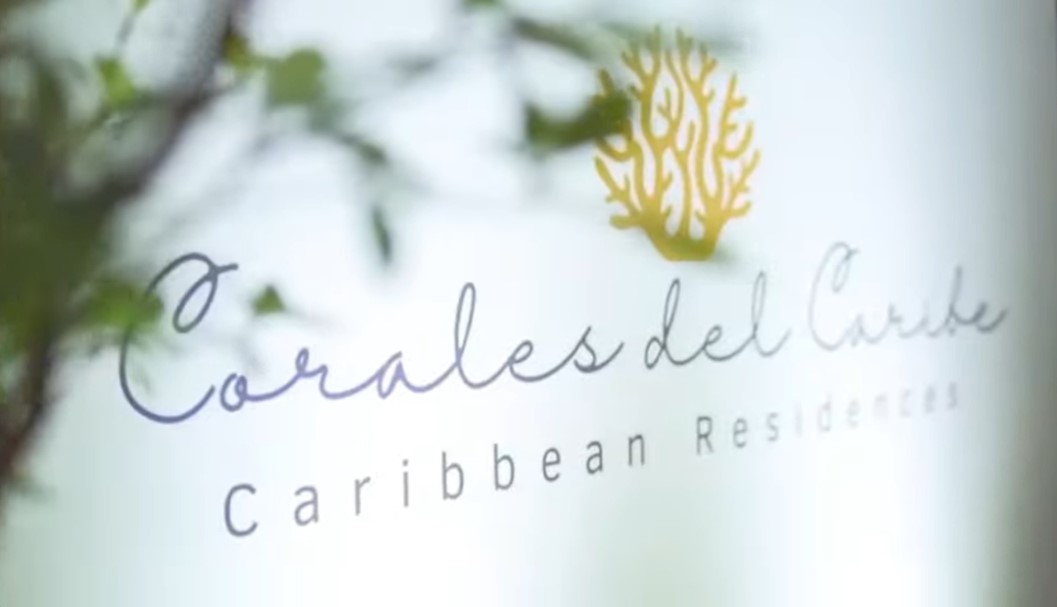 Lanzamiento Corales del Caribe